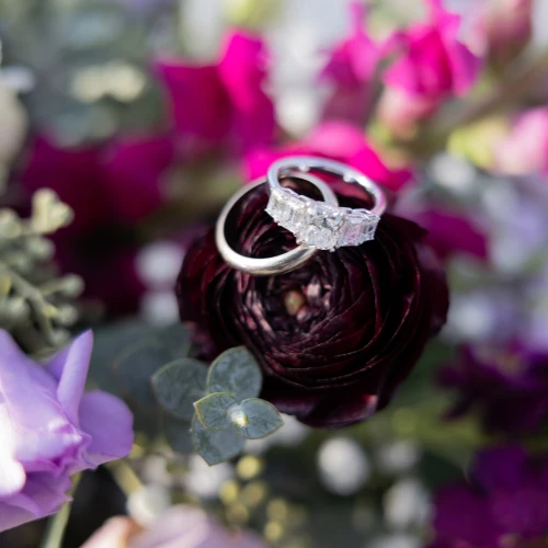 Portfolio - 12_converted